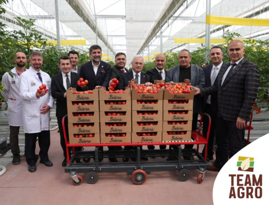 140 dönüm dikim alanına sahip jeotermal seramızın ilk hasadı ve açılışı!