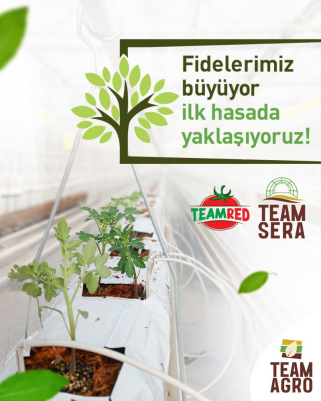 Fidelerimiz büyüyor ilk hasada yaklaşıyoruz! 