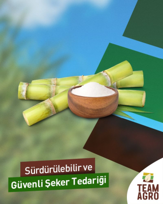 Team Agro ile güvenli, sürdürülebilir ve yüksek kaliteli şeker tedariği! 