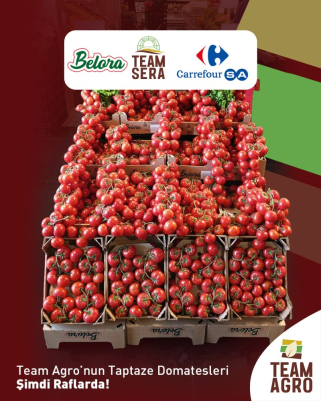 Team Agro'nun Taptaze Domatesleri Şimdi Raflarda!